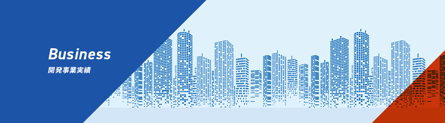 開発事業実績